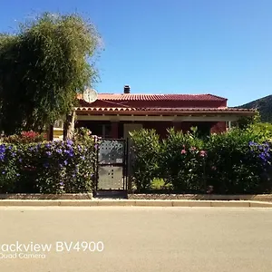 Casanikismiaubau Chia